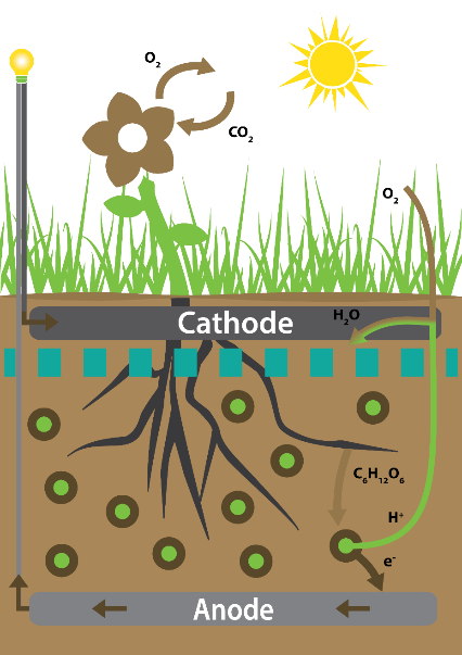 Les sucres (C6H12O6) produits par la photosynthèse sont dégradés par les micro-organismes présents dans le sol, qui produisent du CO2, des protons (H+) et des électrons (e-) captés par l'anode, générant ainsi un courant électrique. © ESA