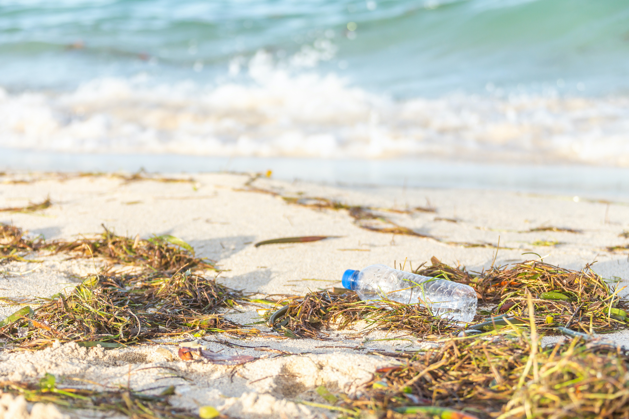 La majeure partie du plastique déversé en mer est rejeté sur le littoral. © Mariakray, Adobe Stock
