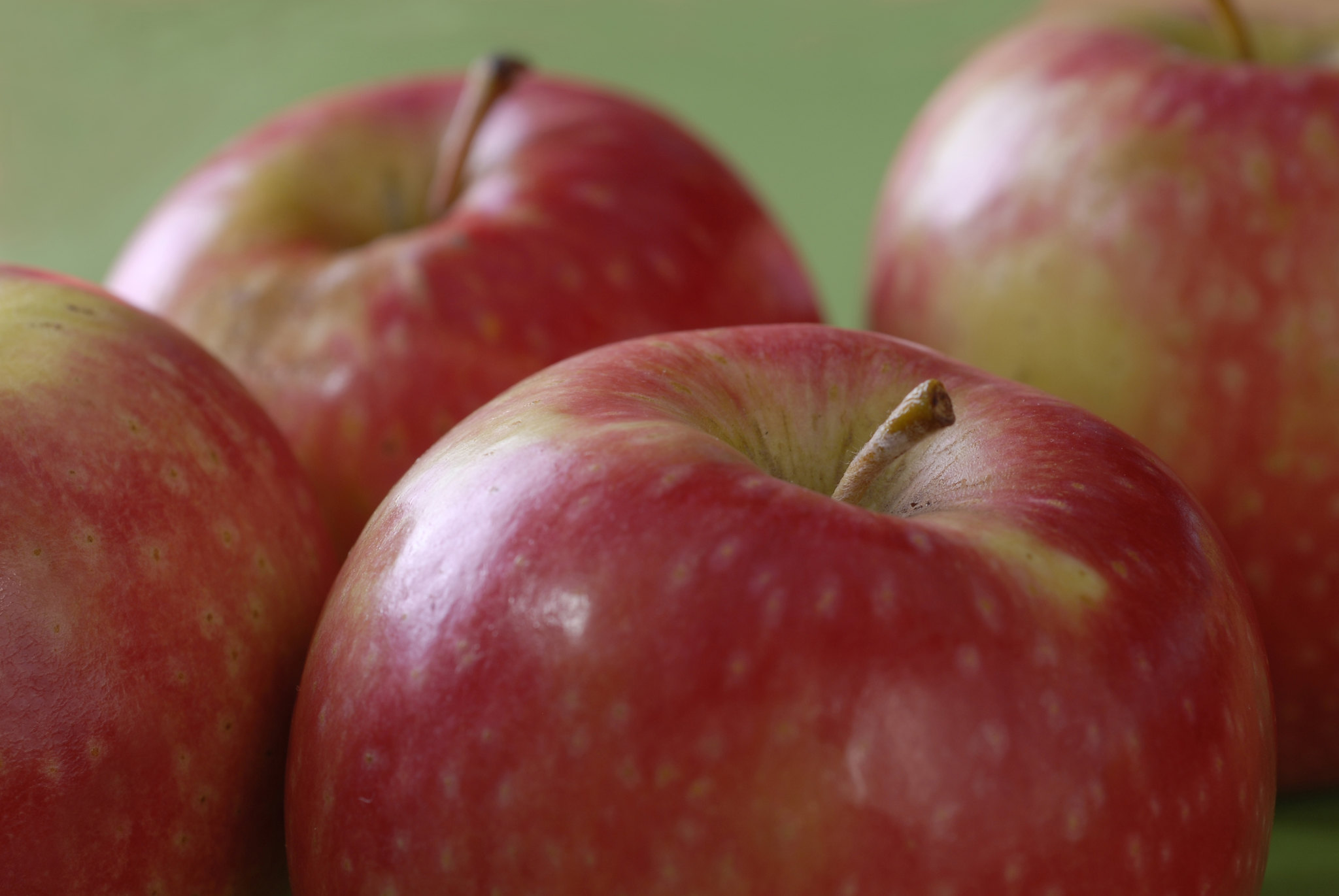 Une pomme contient des millions de bactéries, mais c’est pour notre bien ! © APAL, Flickr
