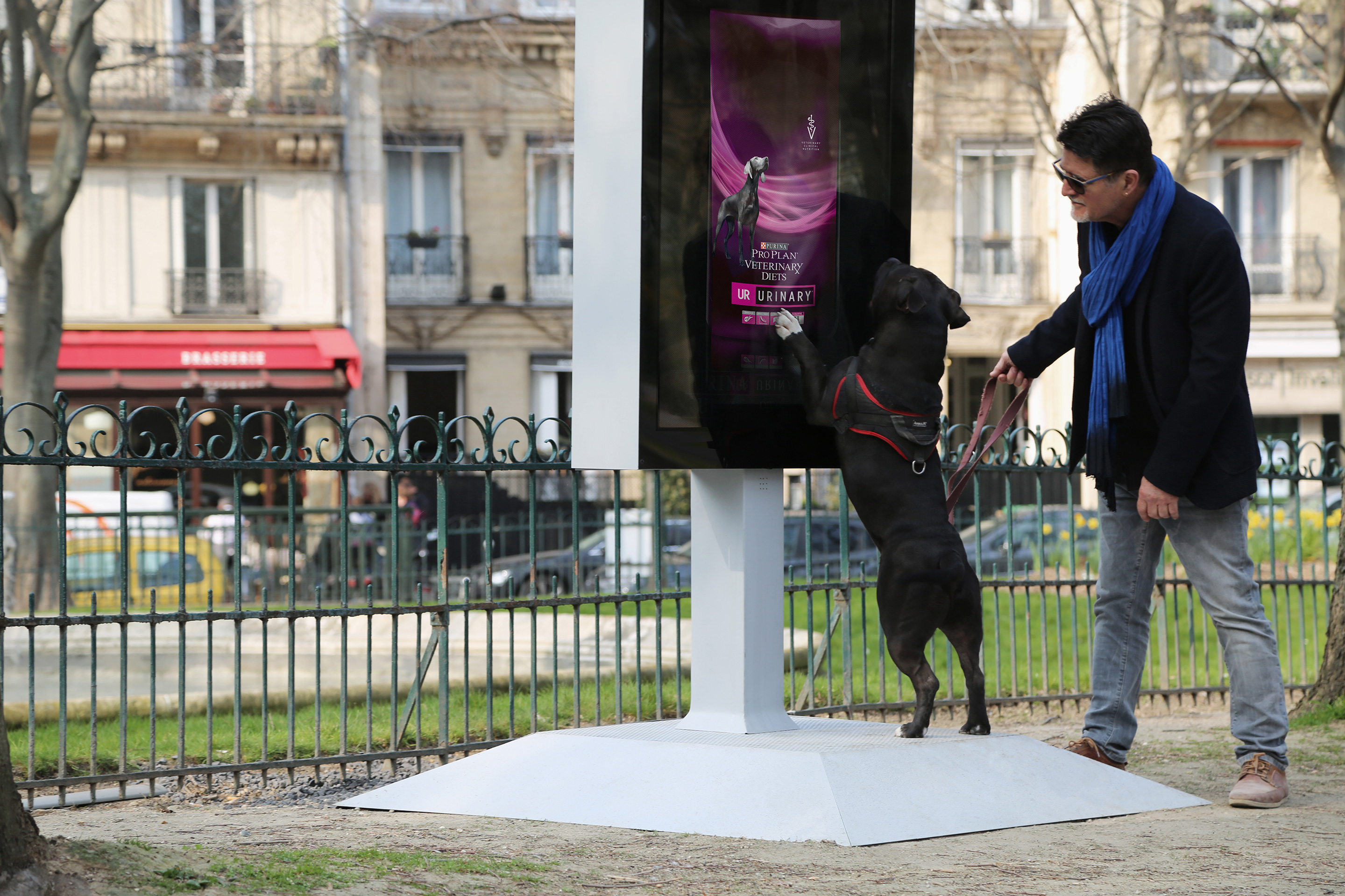 Le panneau Street-Vet analyse l’urine des chiens pour offrir un bilan de santé. © Purina Pro Plan