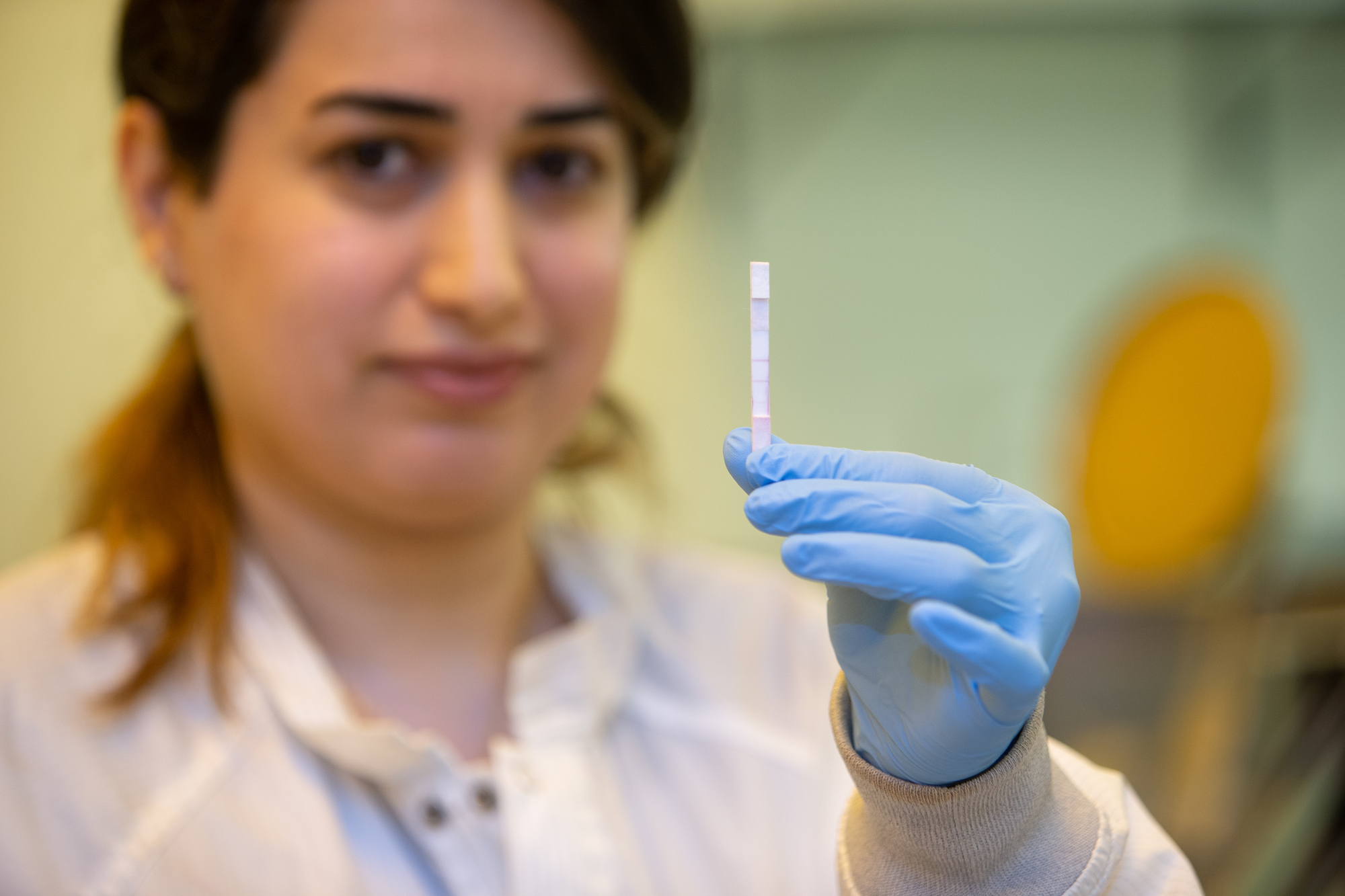 L’assistante Shima Dalirirad montre la bandelette utilisée pour détecter les hormone du stress dans la salve ou le sang. © Andrew Higley, UC Creative Services