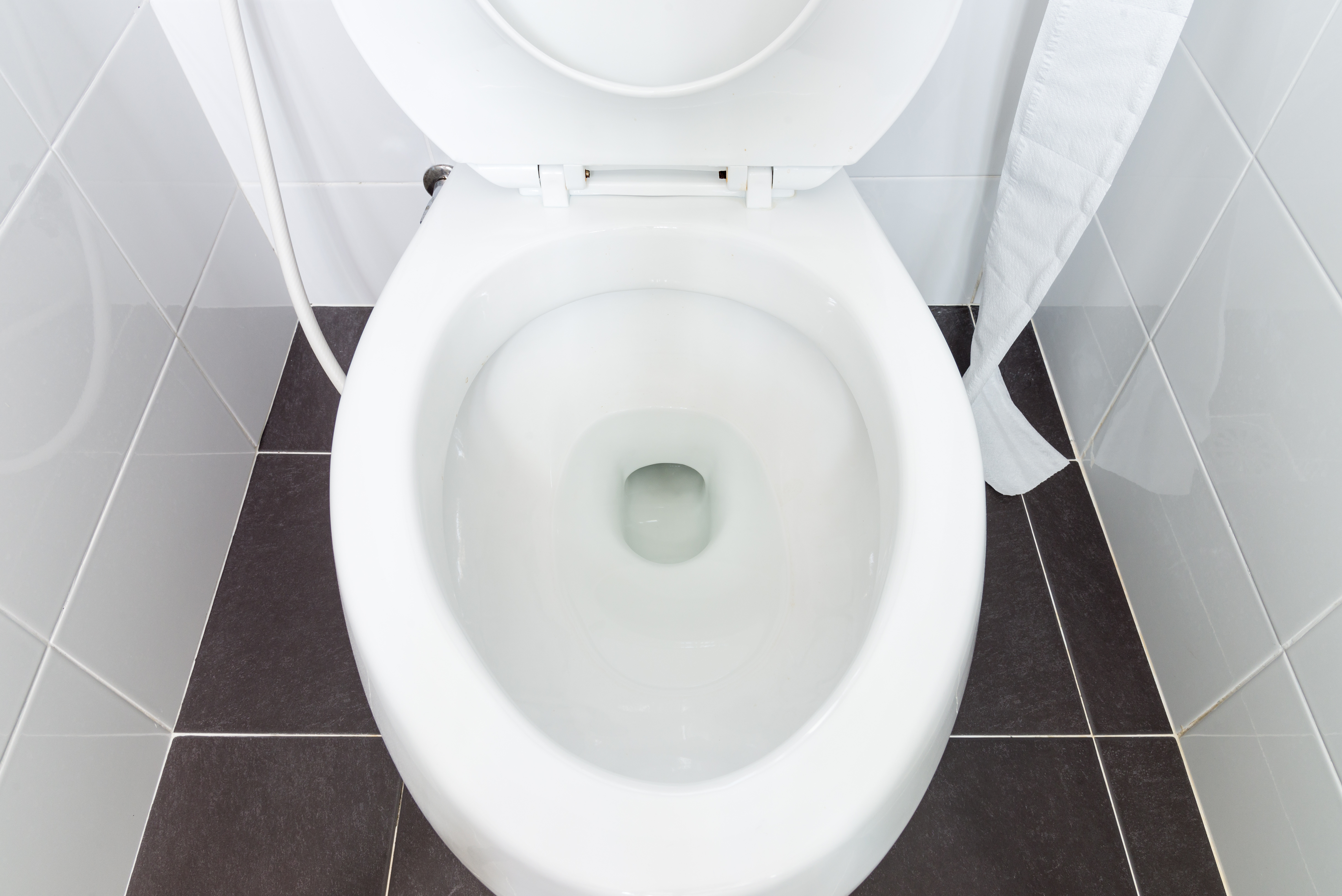 L’eau des toilettes, révélatrice du statut social. © trainman111, Adobe Stock