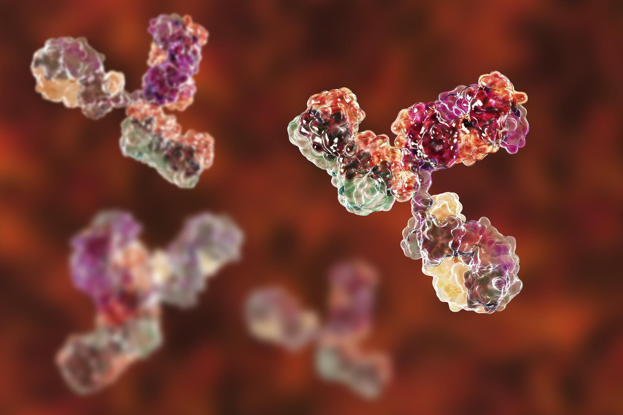 Des anticorps seraient-ils à l'origine du Covid long ? © Katryna_Kon, Adobe Stock