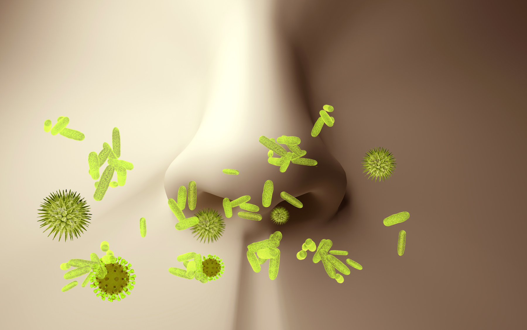 Des probiotiques dans le nez pour se débarrasser des maladies respiratoires ? © goanovi, Adobe Stock