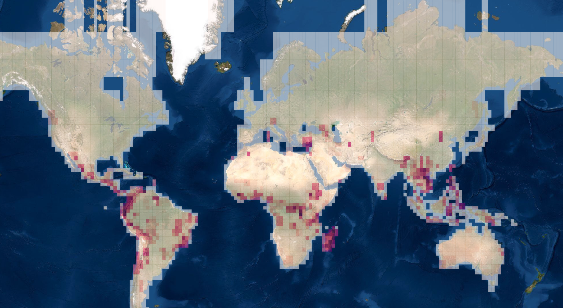Où reste-t-il des espèces à découvrir ? © capture écran Map of Live