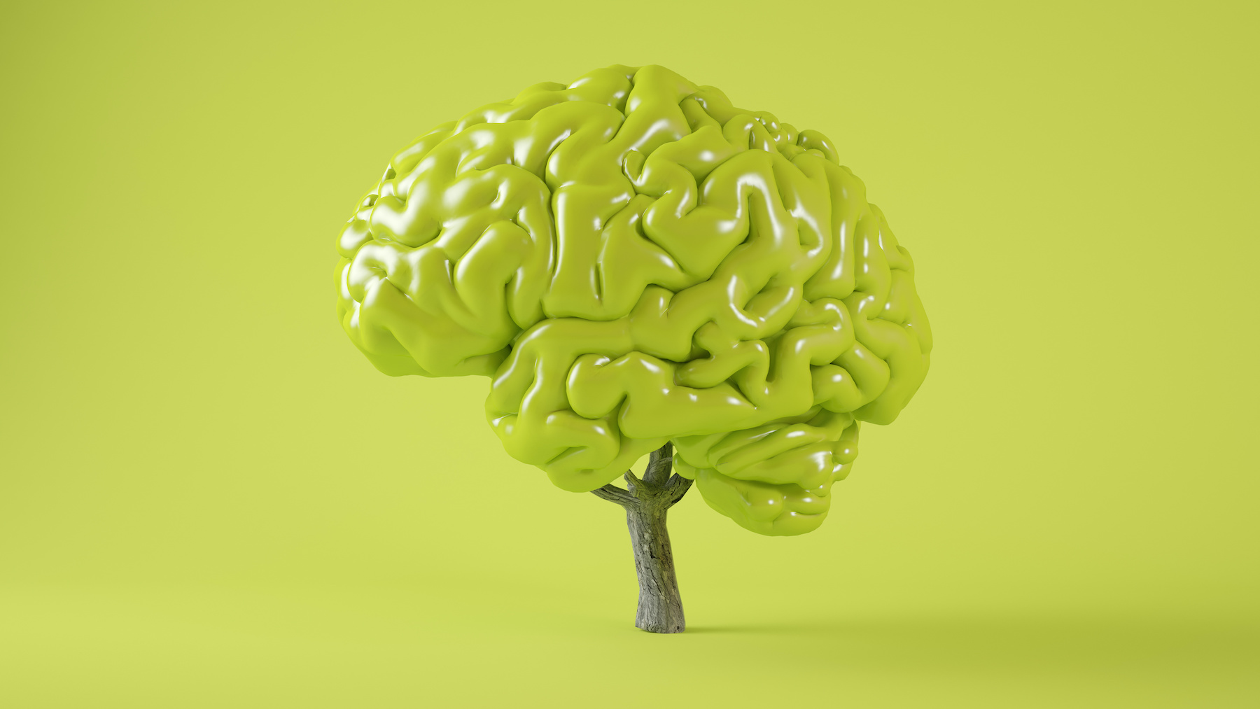 Comme pour un arbre, le cerveau élimine en permanence les synapses excédentaires. © MclittleStock, Adobe Stock