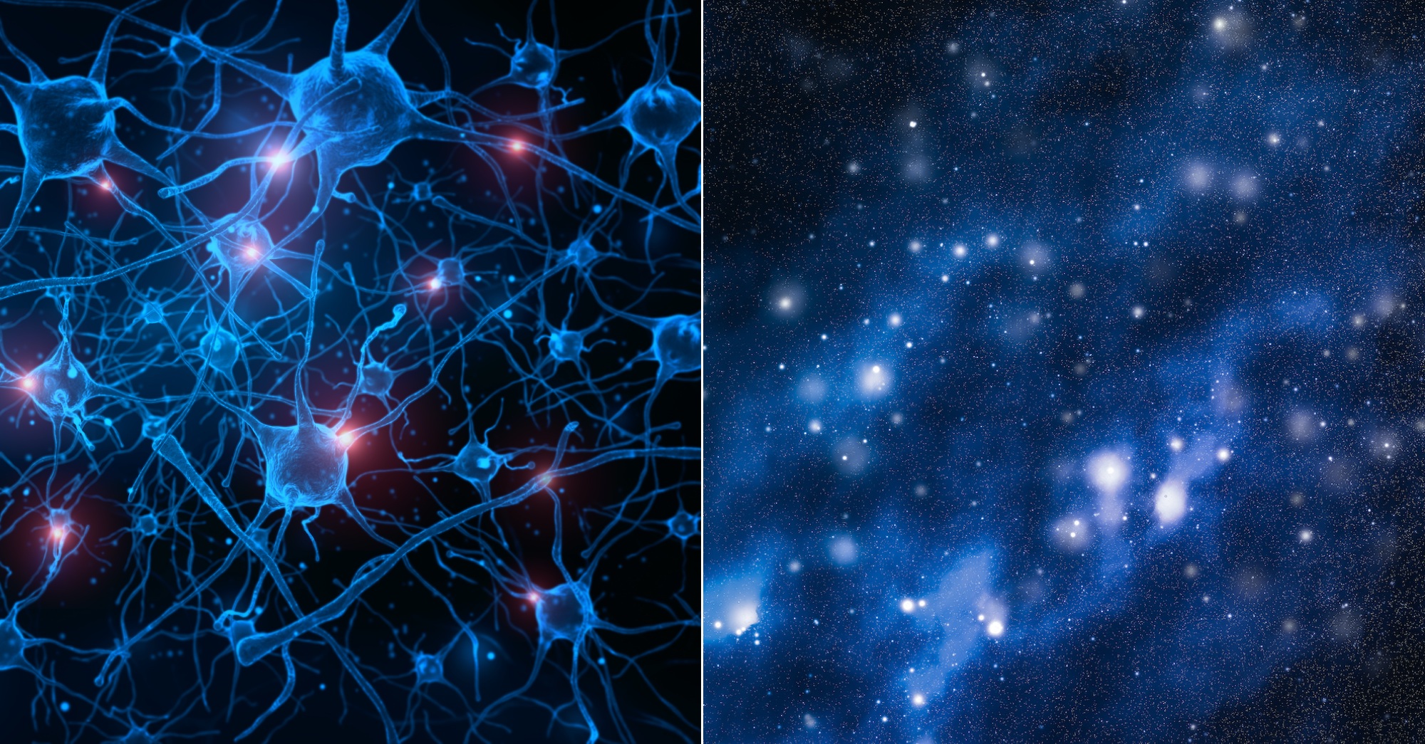 La structure du cerveau ressemble à celle de l’Univers. © onimate, AnneLeven, Adobe Stock