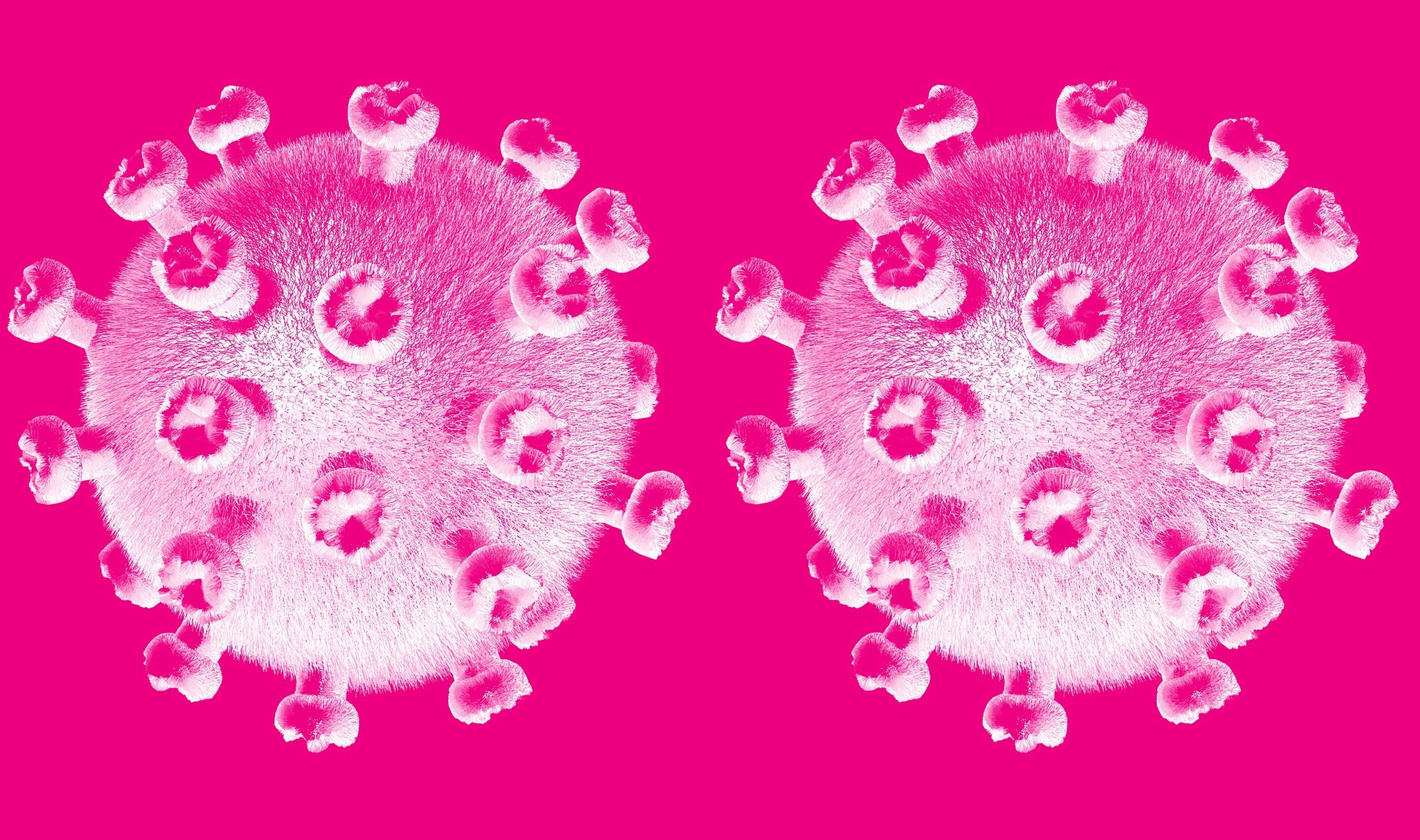 Le coronavirus du SARS-CoV-2 est possiblement le résultat d'une recombinaison de deux autres coronavirus. © cromaconceptovisual, Pixabay