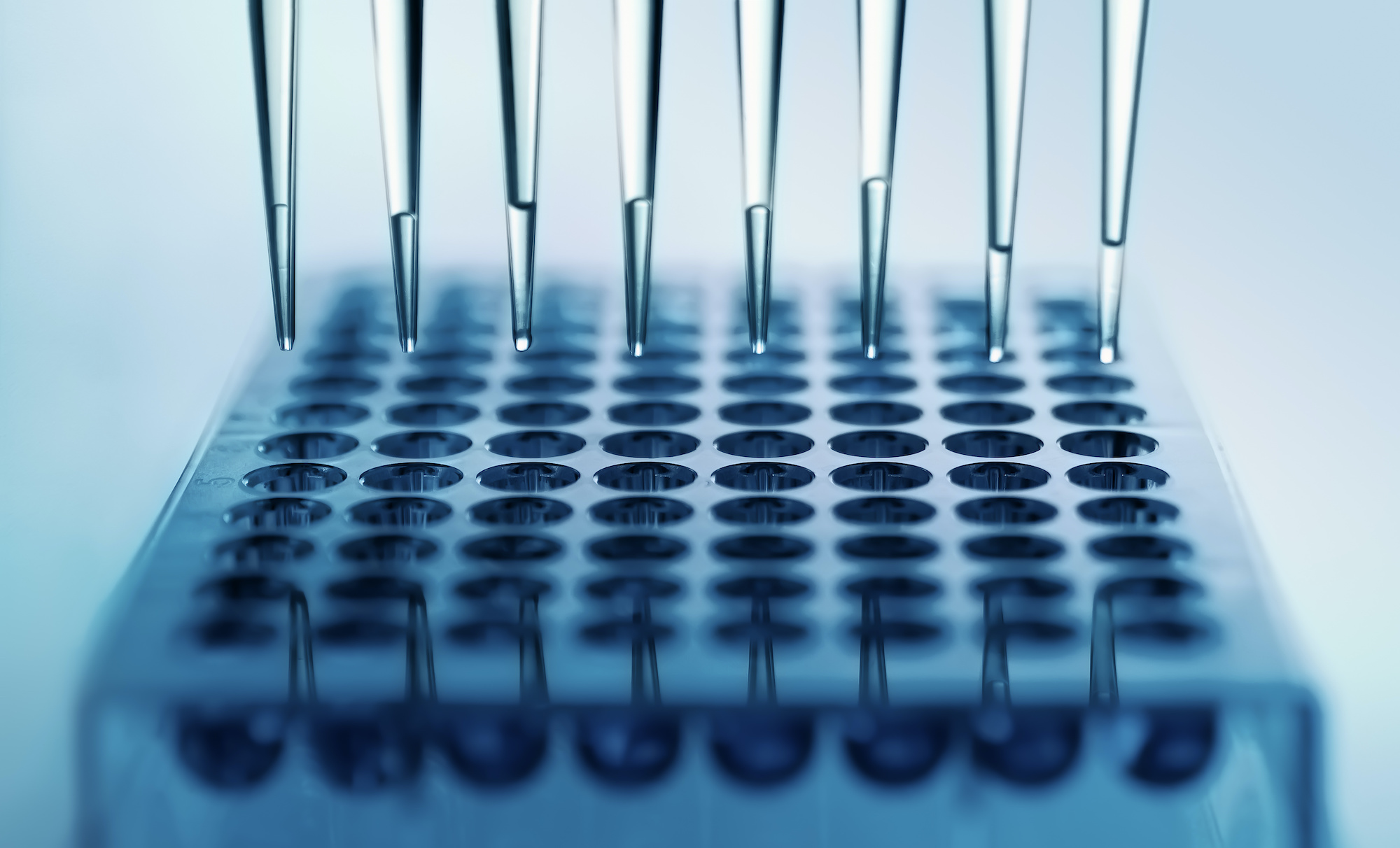 La microfluidique permet de miniaturiser les expériences biologiques et chimiques. © angellodeco, Adobe Stock
