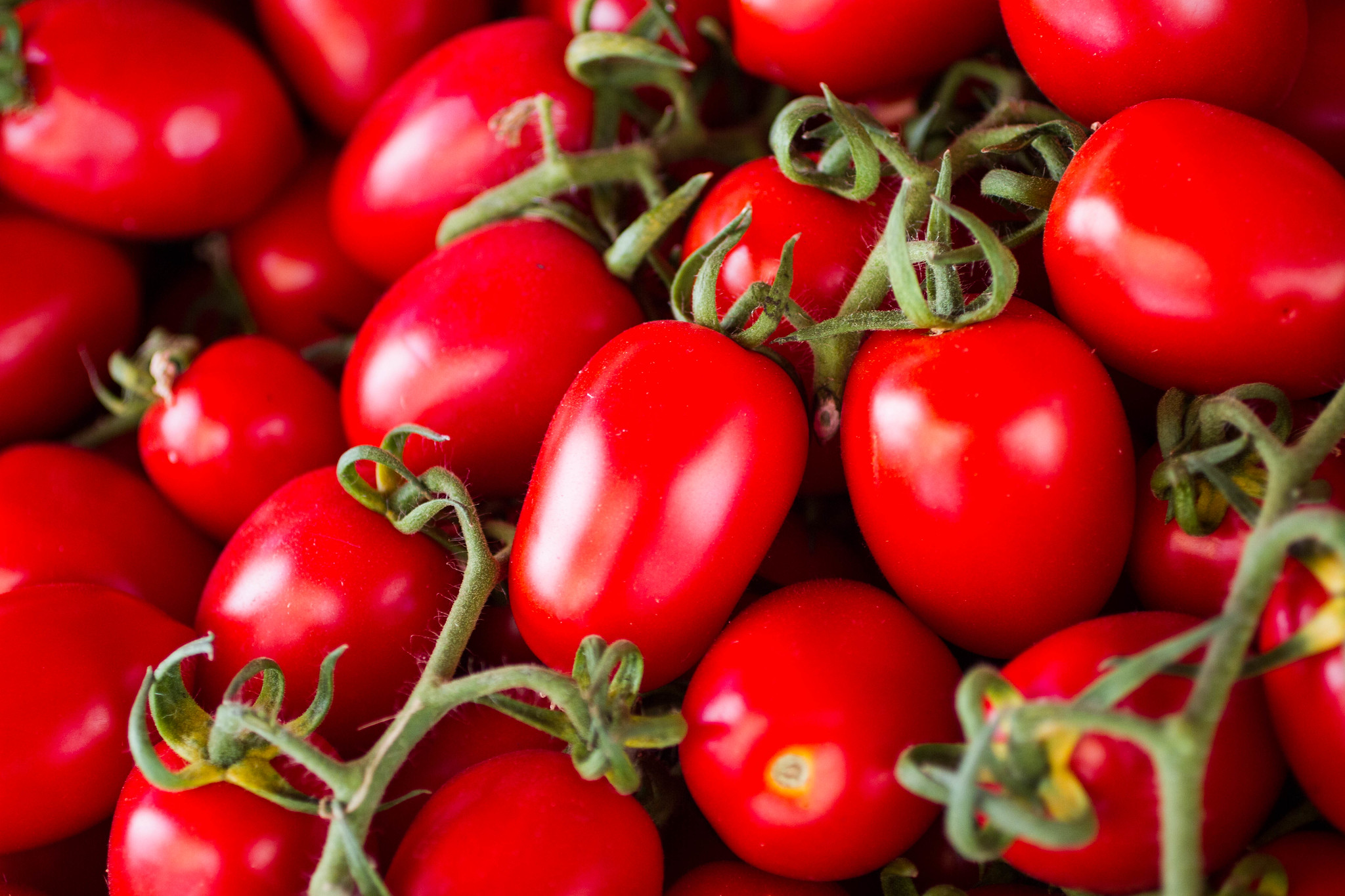 La tomate rouge de Sicile à haut Gaba en produit cinq fois plus qu’une tomate ordinaire. © Kalexander2010, Flickr
