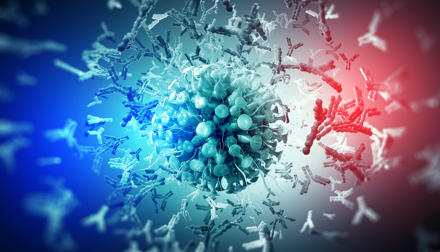 Le virus mute rapidement pour échapper aux anticorps. © Siarhei, Adobe Stock