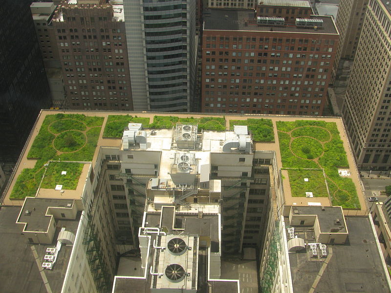 À Chicago, le toit du City Hall est vert depuis plusieurs années. Une tendance qui se confirme. Est-ce là une vision sur l'avenir de nos villes ? © TonyTheTiger, Wikimedia, cc by sa 3.0