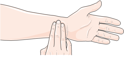 Mesurer son rythme cardiaque : un geste simple pour vérifier sa forme. L'index est à deux centimètres du poignet et appuie entre les tendons. Comptez pendant 30 secondes et multipliez par deux. © Etude Beautiful