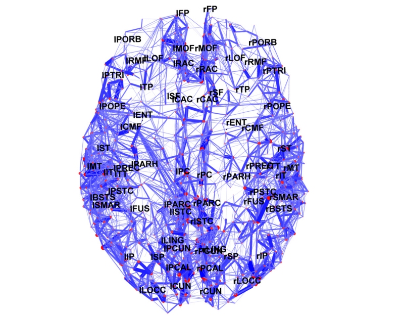 La carte en 3D montre les connexions entre les régions connues du cortex cérébral humain. © Courtesy of Indiana University