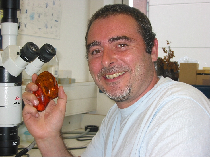 David Penney montre un morceau d’ambre. Pour lui, c’est un trésor dont, avec passion, il étudie les joyaux, en l’occurrence les restes d’animaux et de végétaux. © Université de Manchester