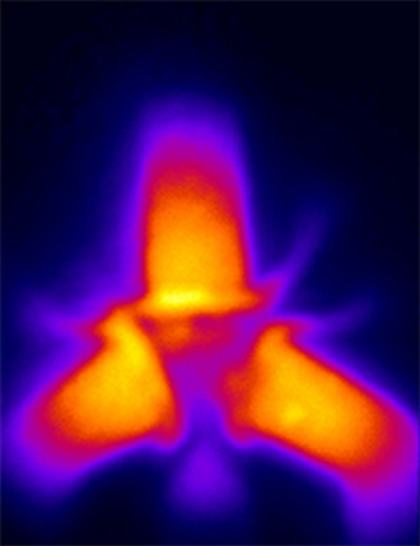 Le système en étoile produisant des photons avec des excitons. Crédit : Leonid Butov/UCSD