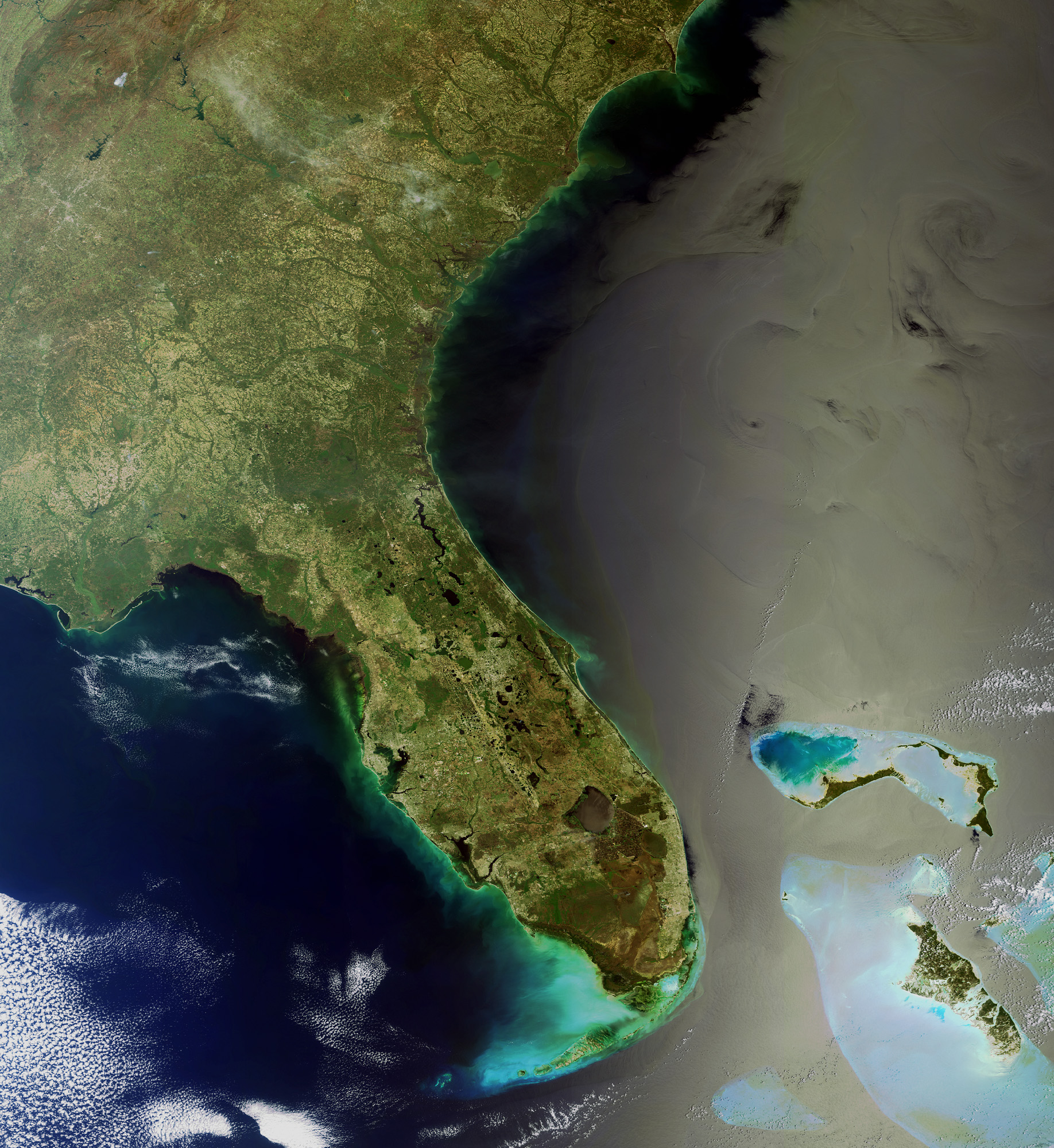 La Floride vue par Envisat. L'archipel des Keys prolonge la côte vers le sud-ouest (le vert émeraude signale les faibles profondeurs). Le golfe du Mexique est à gauche et l'Atlantique à droite, avec, bien visibles, quelques îles des Bahamas. A cet endroit, le courant se dirige vers l'est pour rejoindre le Gulf Stream. © Esa