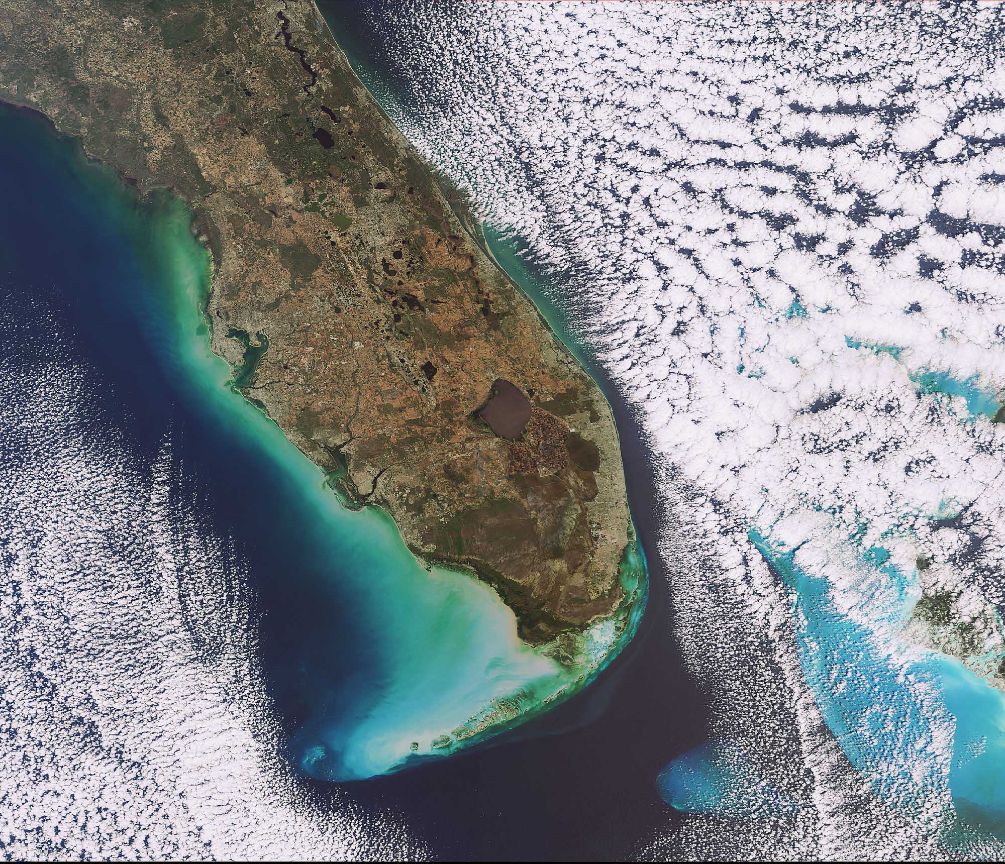 Cette image prise le 5 février 2009 par la caméra Meris (Medium Resolution Imaging Spectrometer) d’Envisat montre la pointe sud de la Floride, qui se situe au sud-est des Etats-Unis. La péninsule s’avance entre l’océan Atlantique (à droite) et le golfe du Mexique (à gauche) sur plus de 550 km. La résolution est de 300 mètres par pixel. La tache brune circulaire est le lac Okeechobee, le troisième plus grand lac d’eau douce entièrement situé aux Etats-Unis, après le lac Michigan et la lac Iliamna. Il couvre une surface d’environ 1.900 km2, pour 220 km de rivages et une profondeur moyenne de 4 m.