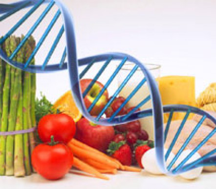 Une meilleure connaissance des interactions entre patrimoine génétique et nutriments sera peut-être une des clés vers une alimentation plus adaptée pour chacun.&nbsp;© DR