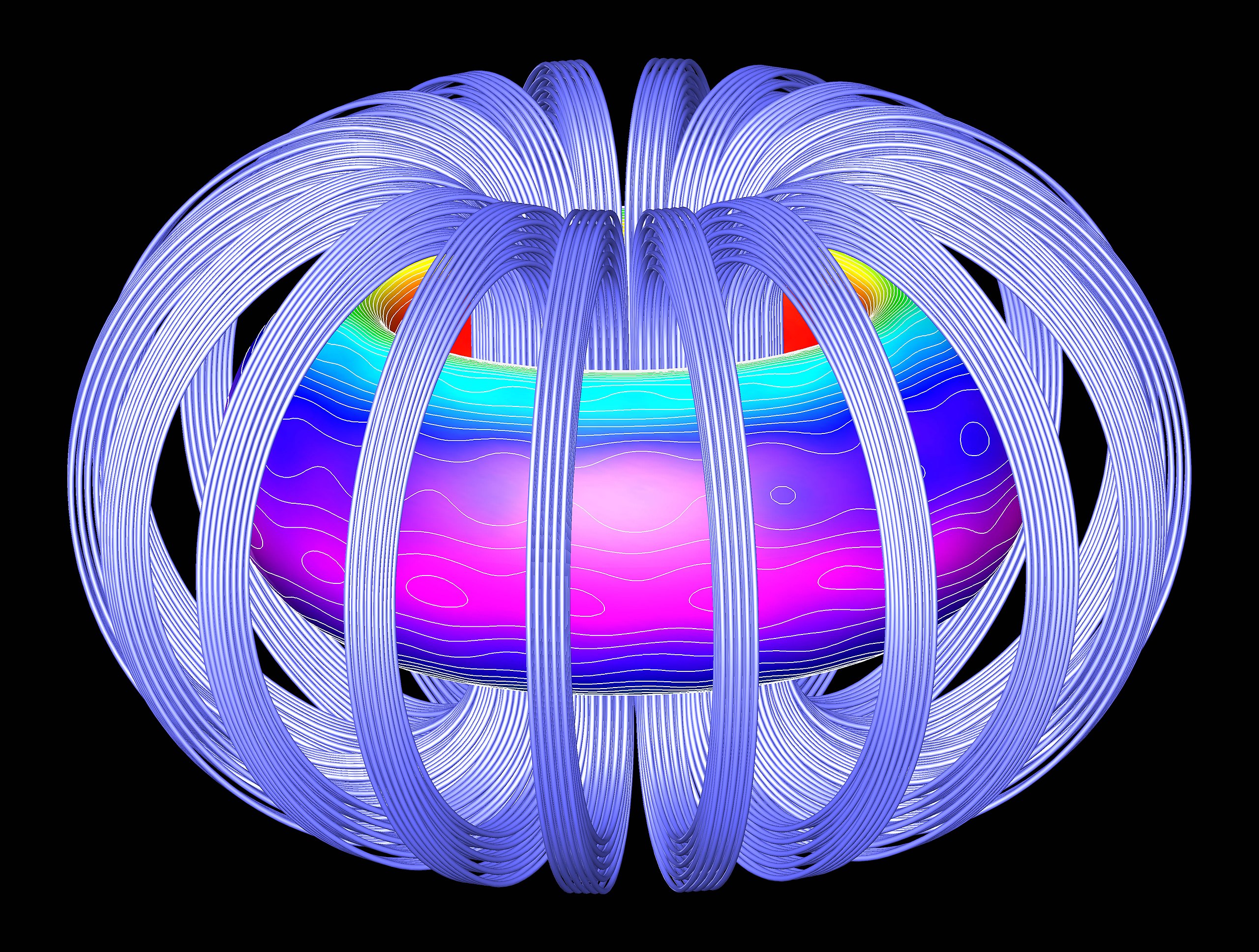 Représentation 3D de la surface du plasma et des bobines de champ magnétique. © Oak Ridge National Laboratory, Wikimedia Commons, CC by-sa 2.0