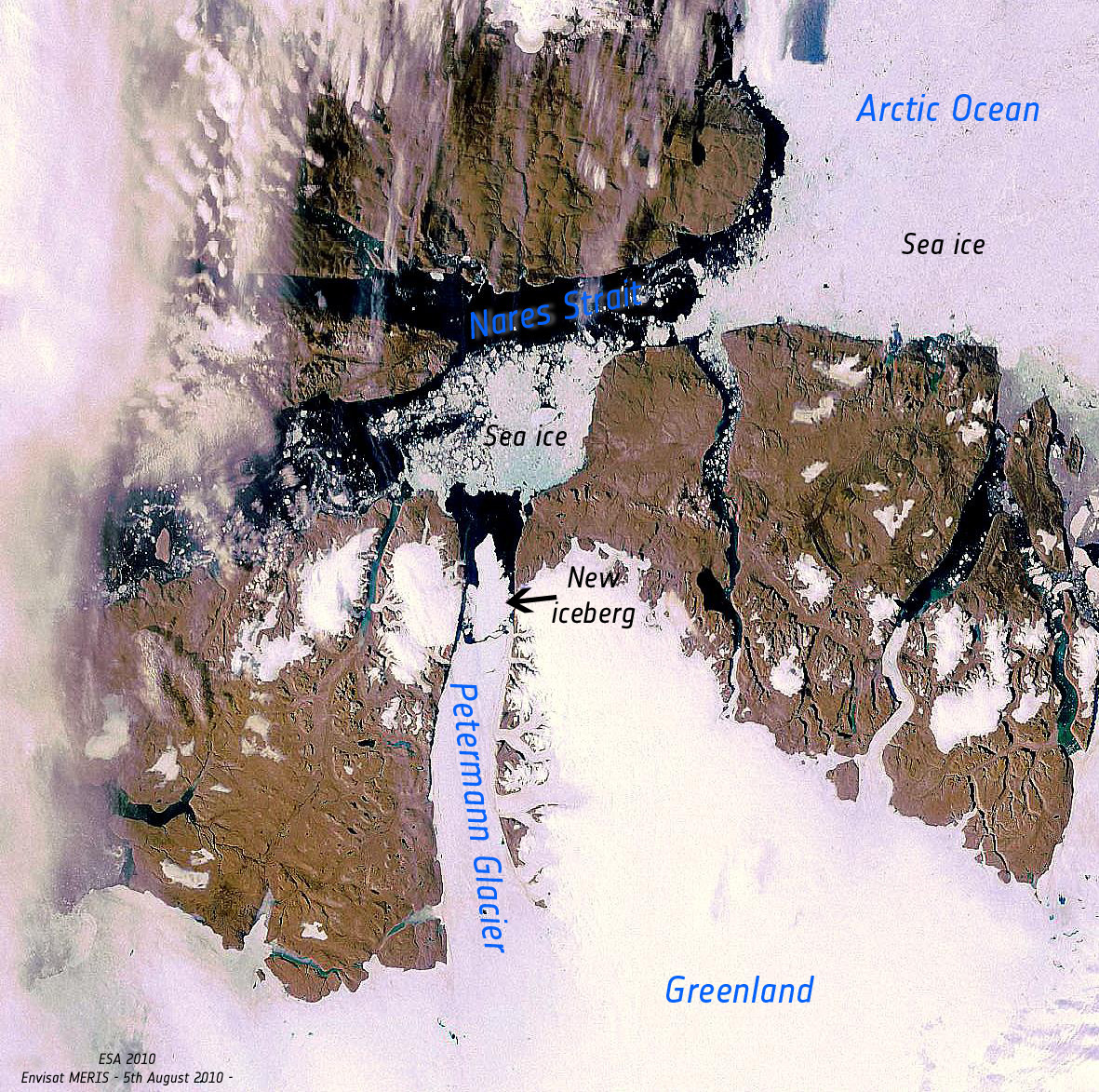  Une image en vraies couleurs obtenue par l'instrument Meris (Medium Resolution Imaging Spectrometer) à bord du satellite Envisat, montrant la rupture du glacier Petermann. © Esa