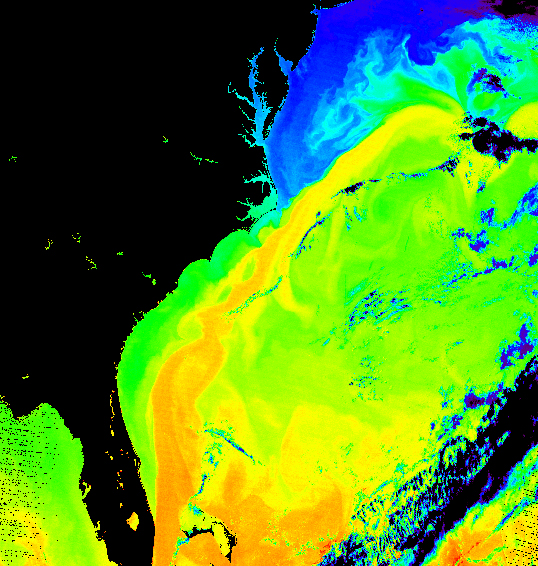 Données collectées par l'instrument Modis du satellite Terra. Les fausses couleurs permettent d'observer le courant du Gulf Stream le long de la côte est des États-Unis. Les couleurs indiquent la température de l'océan, avec du plus froid vers le plus chaud : violet, bleu, turquoise, vert-jaune, orange et rouge. Les parties noires délimitent les zones où il manque des données. © Donna Thomas/Modis Ocean Group Nasa/GSFC SST product by R. Evans et al., U. Miami