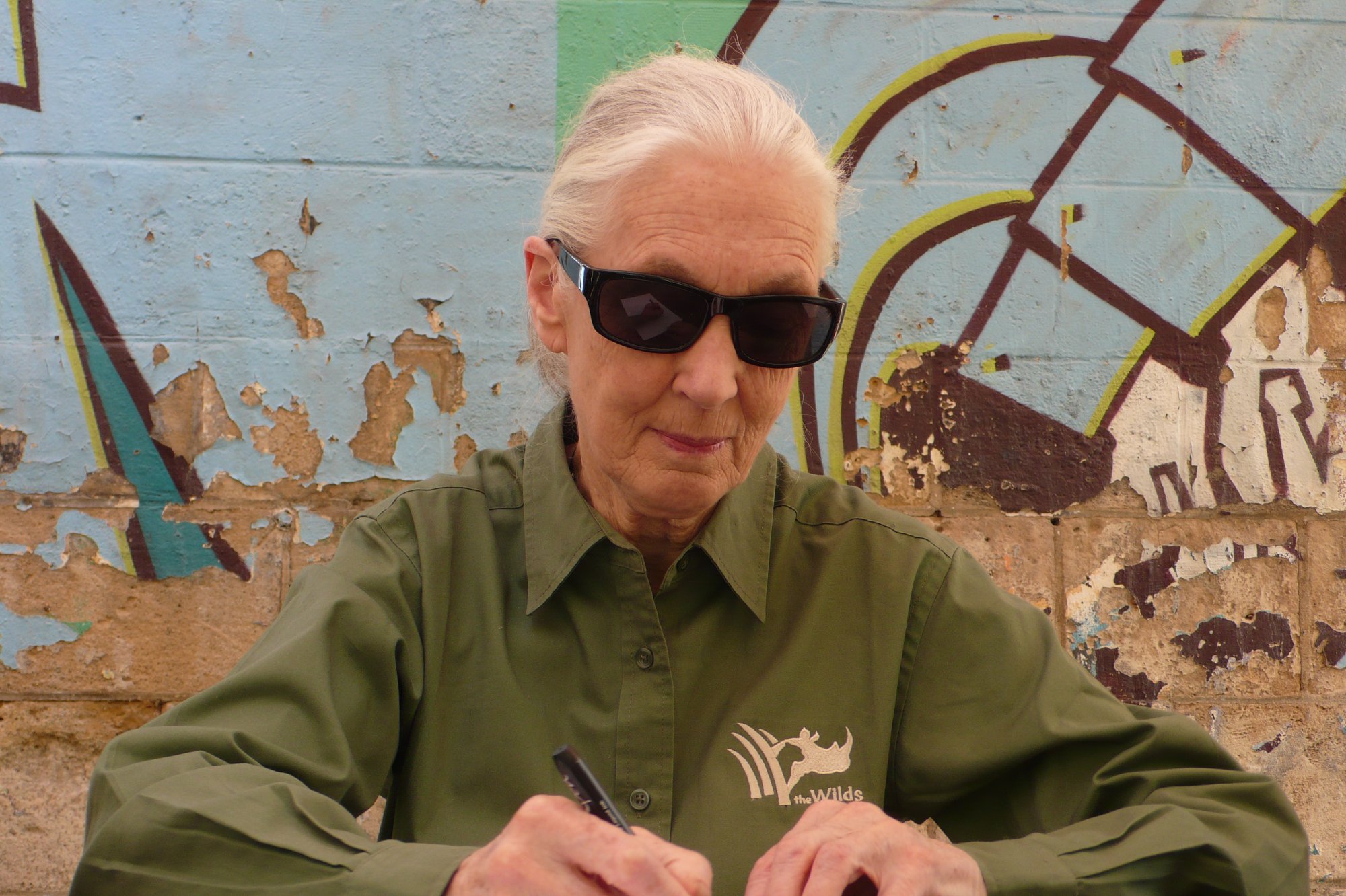 Jane Goodall a fêté en avril son 80e anniversaire. Après l'Espagne et la Belgique, elle est passée par la France pour diffuser son message d'espoir et ses appel à l'engagement. © Jean-Luc Goudet, Futura-Sciences