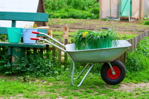Le milieu non agricole n’utilise que 5% des pesticides, mais il respecte beaucoup moins les doses recommandées. © Dushenina