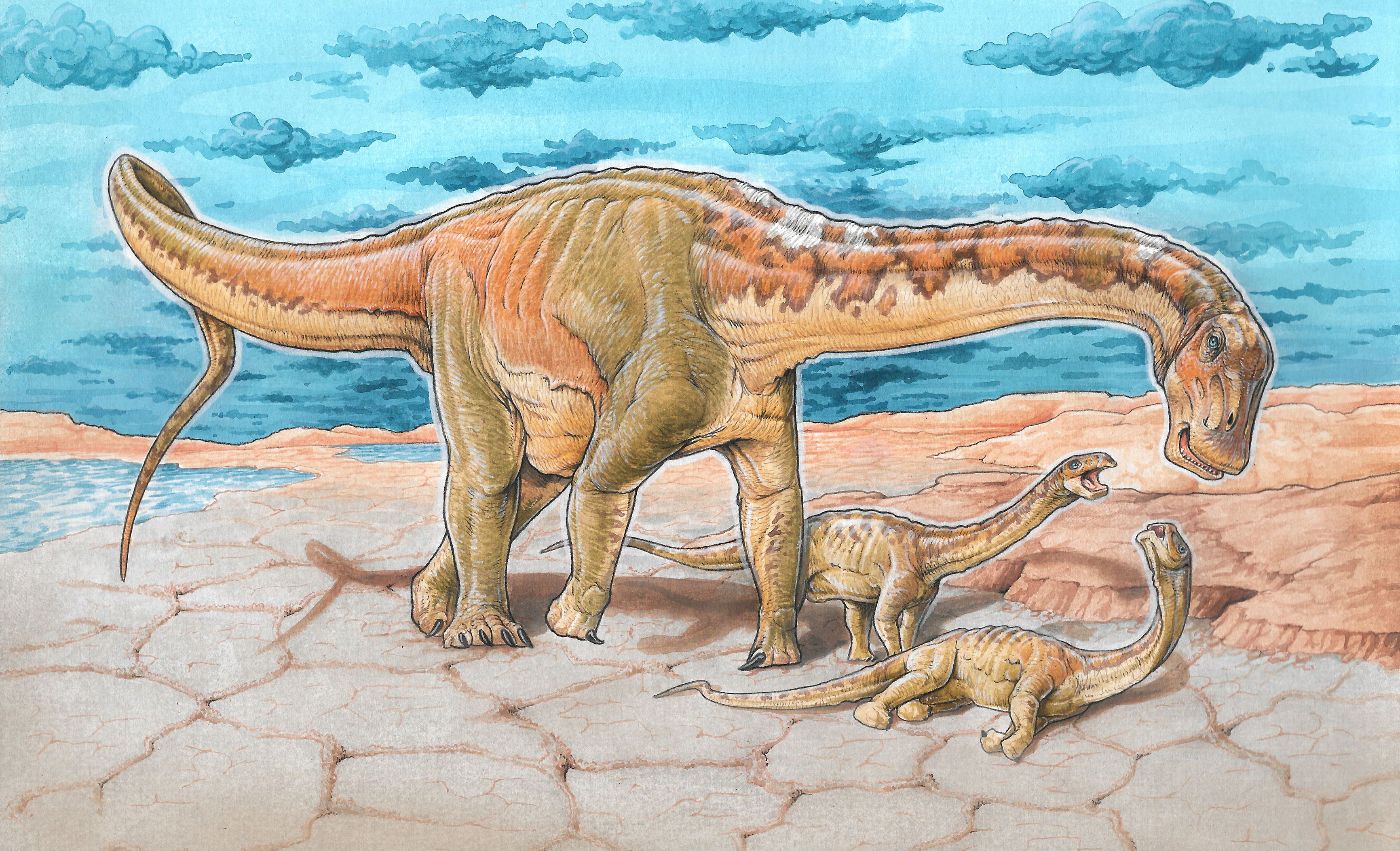 Reconstitution d’un Lavocatisaurus adulte auprès de ses petits. © Jcarballido, Wikimedia Commons, CC by-sa 4.0