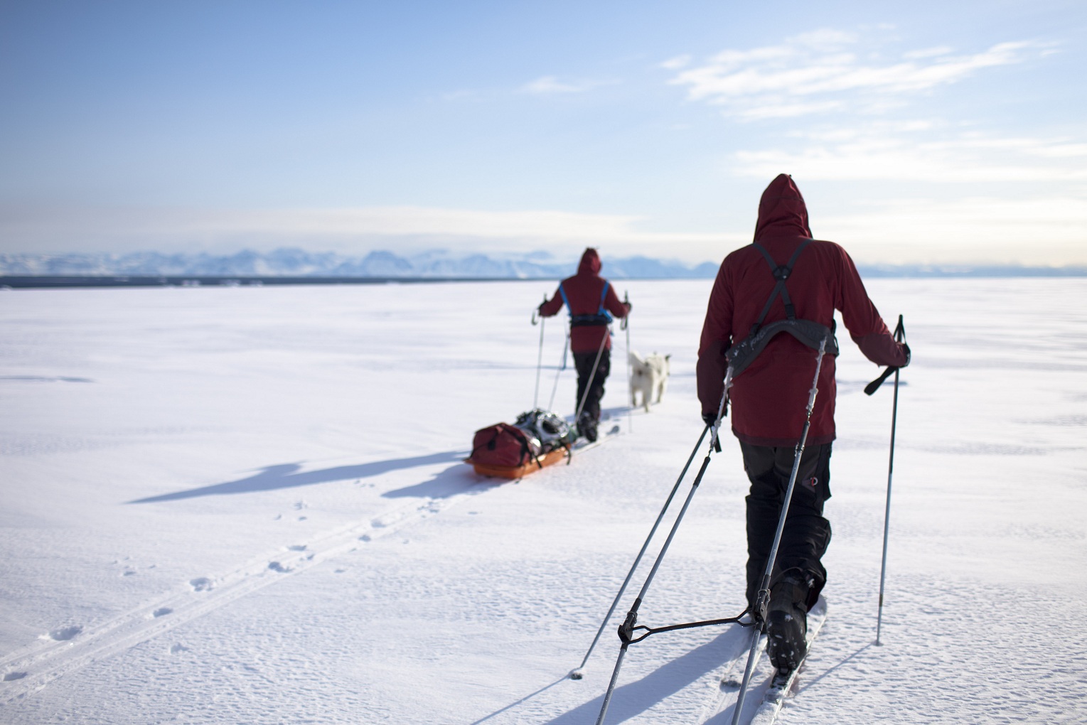 L'expédition Pôle Nord 2012 en entraînement au Groenland, sur la banquise. © Raphaël Demaret