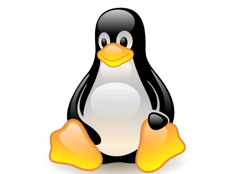 Le petit manchot Linux est triste : son grand-père (et père de son papa Unix) vient de s'envoler au paradis des informaticiens. © doctorserone, CC by-nc-sa 2.0