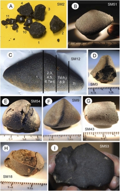 Quelques fragments de la météorite de Sutter's Mill, en cours d'analyse.&nbsp;©&nbsp;Peter Jenniskens et al.,&nbsp;Science
