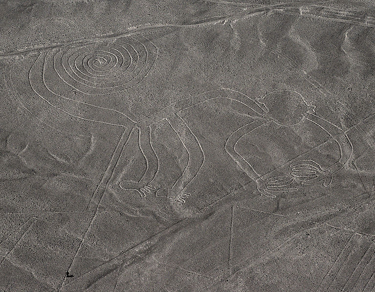 Les géoglyphes nazcas peuvent afficher différentes formes géométriques ou ressembler à certains animaux, à l’image de&nbsp;ce singe. Le site les abritant est inscrit sur la liste du&nbsp;patrimoine mondial de l'Unesco depuis 1994.&nbsp;©&nbsp;Markus Leupold-Löwenthal, Wikimedia Commons, cc by sa 3.0