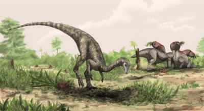 Cette reconstitution de Nyasasaurus parringtoni a été réalisée par Mark Witton. Cet animal présentait une hauteur au niveau du bassin d'environ 1 m. Il pourrait avoir été herbivore. © Mark Witton, Natural History Museum of London