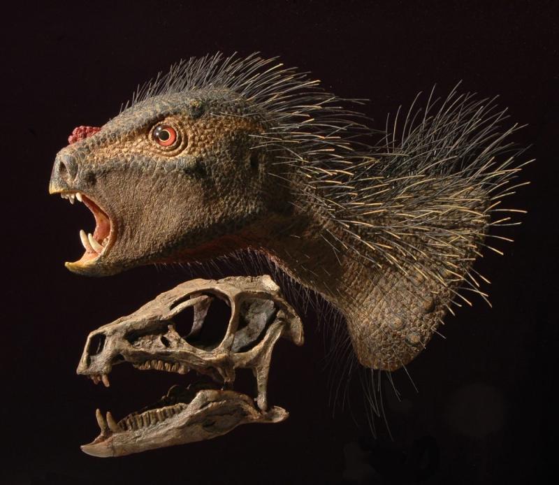 Pegomastax Africanus Le Dinosaure Porc pic Nain Aux Longues Canines