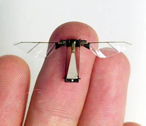 Ce petit engin volant qui ressemble à s'y méprendre à un insecte nous surveille-t-il ? © DR