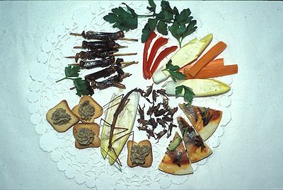 Qu'est-ce qu'on mange ce soir ? Oh, chouette, des insectes ! ©  Insectarium de Montréal