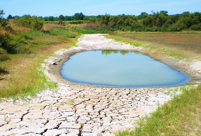 Des étés plus secs et plus chauds obligeront à une meilleure gestion de l'eau et une récupération plus importante de l'eau de pluie. © Thierry Llansades, Flickr, CC by-nc-nd 2.0