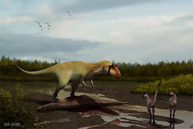 Cette représentation d'artiste donne une idée de l'apparence de Siats meekekorum, un théropode carnivore de très grande taille qui vivait en Amérique du Nord il y a 98 millions d'années. © Julia Lacerda
