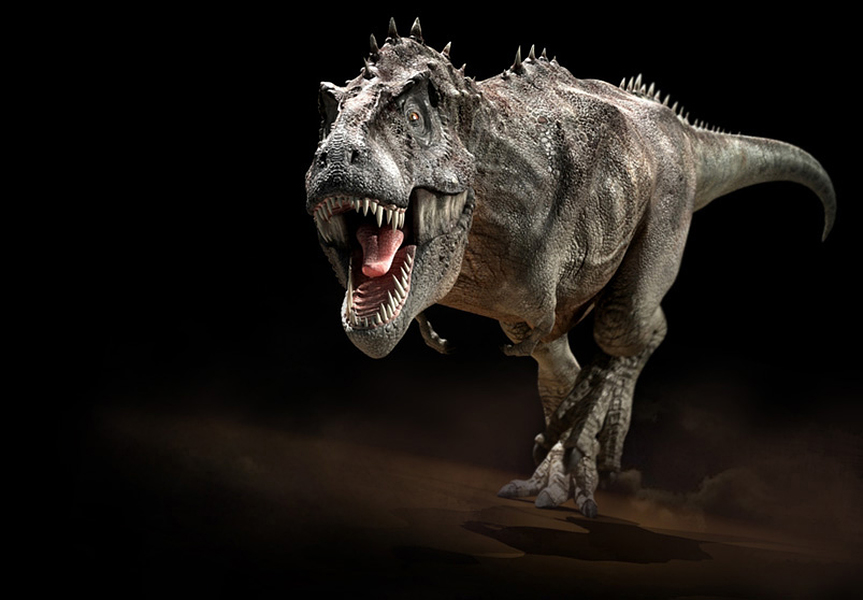 Et si vous alliez au musée pour voir un véritable dinosaure ? © Courtesy of Jon Hugues