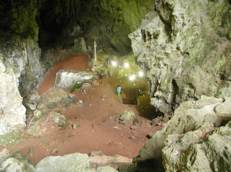 La grotte de Tam Pa Ling, lieu de la découverte du plus vieil homme asiatique « totalement moderne »,&nbsp;se compose d'une seule chambre mesurant 40 m de large, 30 m de long et 12 m de haut. Trois puits d'une profondeur&nbsp;maximale de 4,3 m&nbsp;y ont été creusés en 2008 dans le cadre d'études stratigraphiques. Les restes humains ont été trouvés dans la troisième fosse.&nbsp;© Fabrice Demeter&nbsp;et al.&nbsp;2012,&nbsp;Pnas&nbsp;