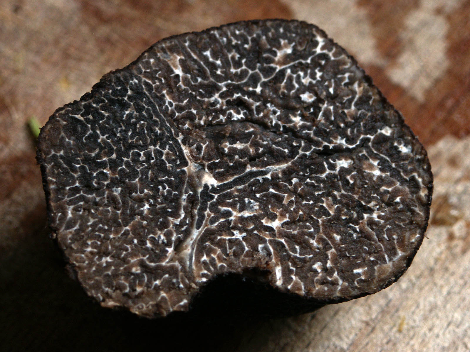 Les veines blanches de la truffe indiquent sa fraîcheur. Plus elle a de veines, meilleure&nbsp;elle sera !&nbsp;© Wazouille, Flickr, cc 