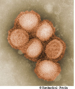 Le virus A(H1N1) se répand rapidement, et, parfois, tue. © Karelmedical/Fotolia