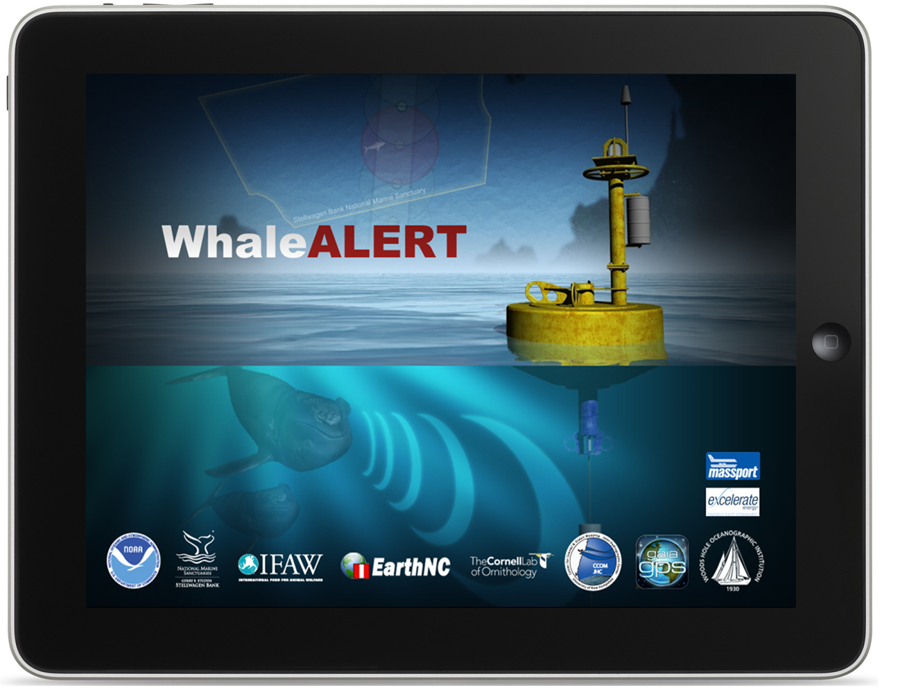 L'application Whale Alert est gratuite. Bien sûr, les applications en temps réel ne fonctionnent qu'avec une connexion à Internet mais de nombreux navires possèdent désormais ce genre d'équipements. © Stellwagen Bank National Marine Sanctuary Web Group