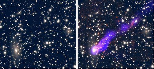 A gauche, une photographie d'ESO 137-001 (angle inférieur gauche) en lumière visible ne montre pas la queue, qui est ajoutée par superposition dans l'image de droite. Crédit Chandra-NASA.