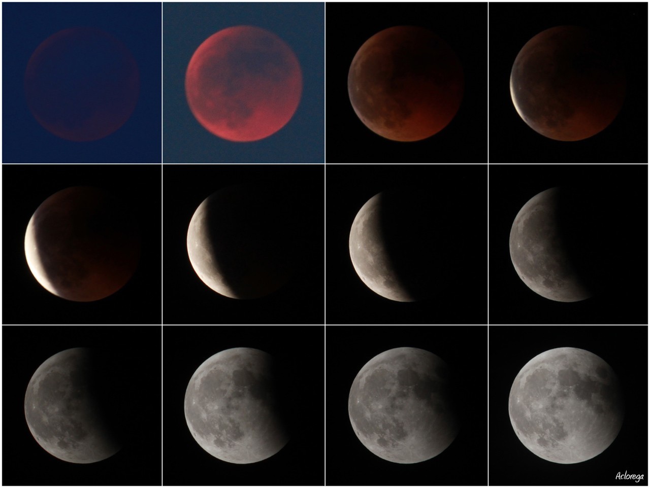 Un montage permettant de visualiser les différentes étapes de l'éclipse totale de Lune du 15 juin 2011. © aclorega