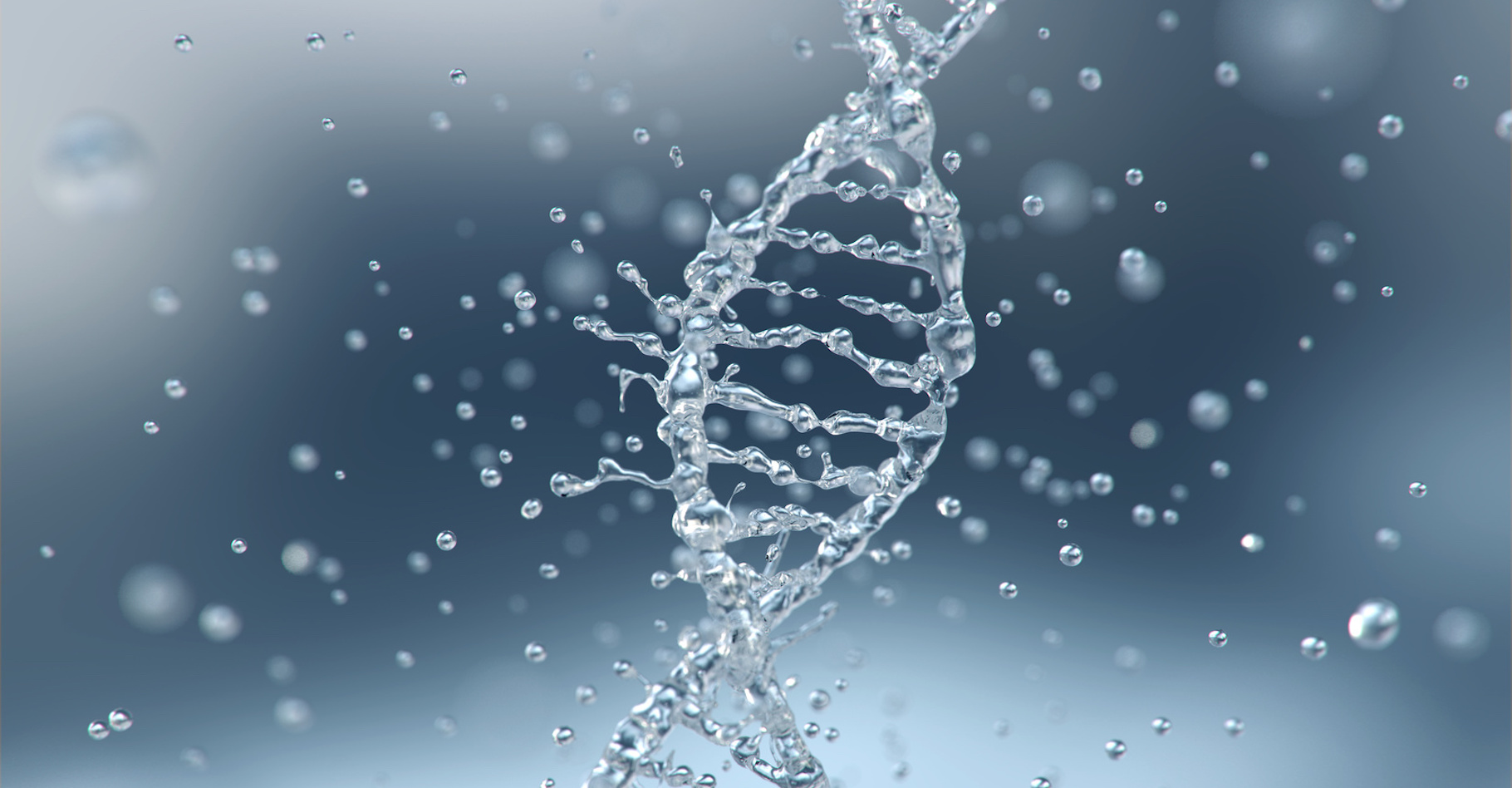 Pour la première fois, des chercheurs de l’université Chalmers (Suède) ont étudié comment l’ADN se comporte dans un environnement hydrophobe. Ils ont observé qu’alors, la forme en spirale caractéristique de l’ADN commence à se défaire. © Anusorn, Fotolia