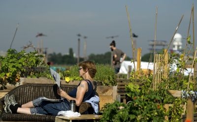 L'aéroport désaffecté de Tempelhof est devenu un paradis pour jardiniers urbains. © AFP photo/Odd Andersen