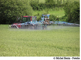Les pesticides, des produits actifs et pas seulement sur les insectes. © Michel Bazin / Fotolia