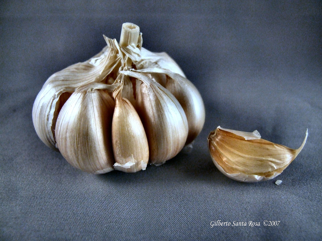 L’ajoène, un composé présent en petites quantités dans l’ail, possède des propriétés antibactériennes. © SantaRosa OLD SKOOL, Flickr, cc by 2.0
